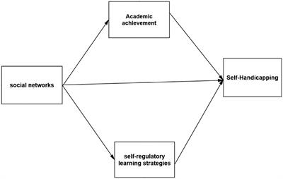 The effect of social networks on academic self-handicapping with the mediating role of self-regulatory learning strategies and academic achievement among EFL students